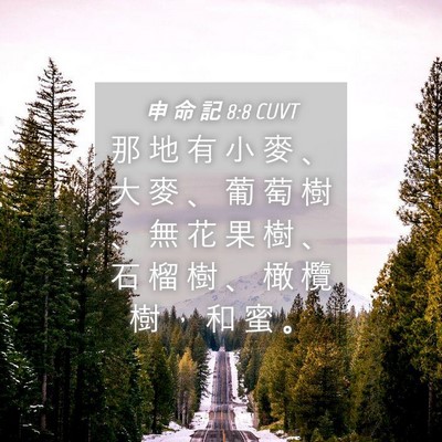 Picture 04 - 申 命 記 8:8 CUVT - 那 地 有 小 麥 、 大 麥 、 葡 萄 樹 - Bible Verse Picture