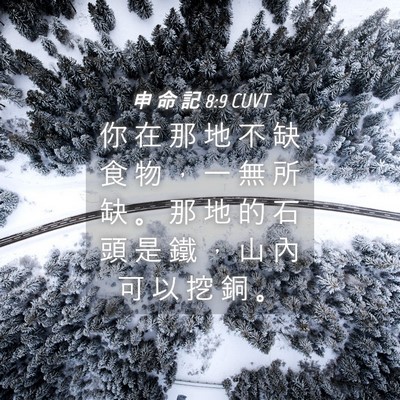 Picture 04 - 申 命 記 8:9 CUVT - 你 在 那 地 不 缺 食 物 ， 一 無 所 - Bible Verse Picture