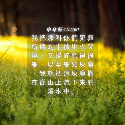Picture 04 - 申 命 記 9:21 CUVT - 我 把 那 叫 你 們 犯 罪 所 鑄 的 牛 - Bible Verse Picture
