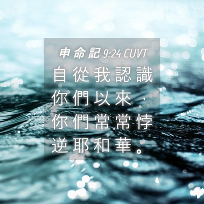 Picture 04 - 申 命 記 9:24 CUVT - 自 從 我 認 識 你 們 以 來 ， 你 們 - Bible Verse Picture