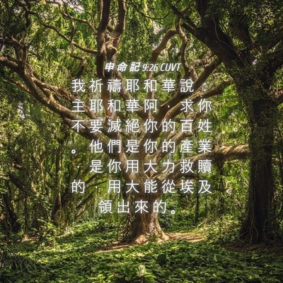 Picture 04 - 申 命 記 9:26 CUVT - 我 祈 禱 耶 和 華 說 ： 主 耶 和 華 - Bible Verse Picture