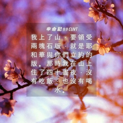 Picture 04 - 申 命 記 9:9 CUVT - 我 上 了 山 ， 要 領 受 兩 塊 石 版 - Bible Verse Picture