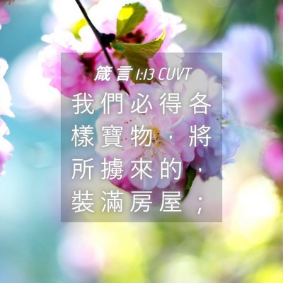 Picture 04 - 箴 言 1:13 CUVT - 我 們 必 得 各 樣 寶 物 ， 將 所 擄 - Bible Verse Picture