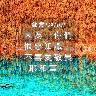 Picture 04 - 箴 言 1:29 CUVT - 因 為 ， 你 們 恨 惡 知 識 ， 不 喜 - Bible Verse Picture