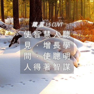 Picture 04 - 箴 言 1:5 CUVT - 使 智 慧 人 聽 見 ， 增 長 學 問 ， - Bible Verse Picture