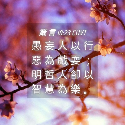 Picture 04 - 箴 言 10:23 CUVT - 愚 妄 人 以 行 惡 為 戲 耍 ； 明 哲 - Bible Verse Picture