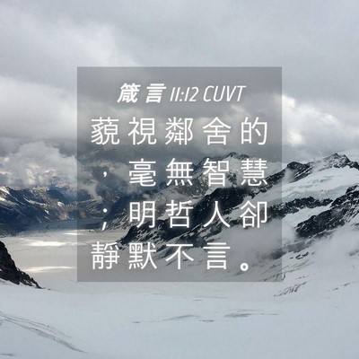 Picture 04 - 箴 言 11:12 CUVT - 藐 視 鄰 舍 的 ， 毫 無 智 慧 ； 明 - Bible Verse Picture