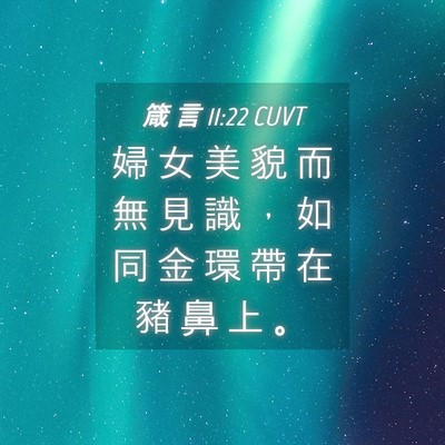 Picture 04 - 箴 言 11:22 CUVT - 婦 女 美 貌 而 無 見 識 ， 如 同 金 - Bible Verse Picture