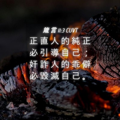 Picture 04 - 箴 言 11:3 CUVT - 正 直 人 的 純 正 必 引 導 自 己 ； - Bible Verse Picture