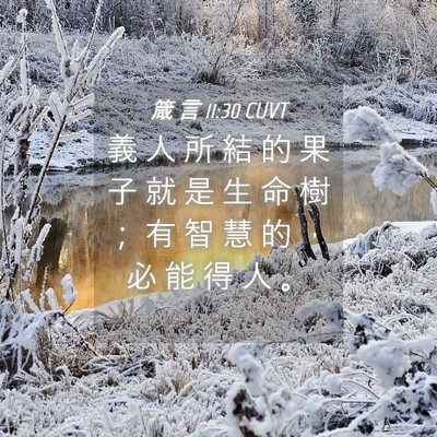 Picture 04 - 箴 言 11:30 CUVT - 義 人 所 結 的 果 子 就 是 生 命 樹 - Bible Verse Picture