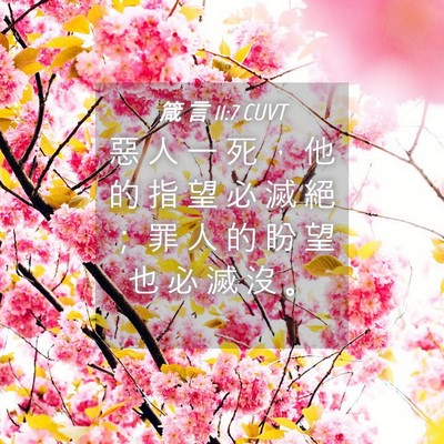 Picture 04 - 箴 言 11:7 CUVT - 惡 人 一 死 ， 他 的 指 望 必 滅 絕 - Bible Verse Picture