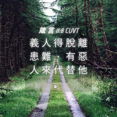 Picture 04 - 箴 言 11:8 CUVT - 義 人 得 脫 離 患 難 ， 有 惡 人 來 - Bible Verse Picture