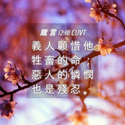 Picture 04 - 箴 言 12:10 CUVT - 義 人 顧 惜 他 牲 畜 的 命 ； 惡 人 - Bible Verse Picture