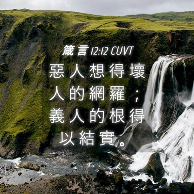 Picture 04 - 箴 言 12:12 CUVT - 惡 人 想 得 壞 人 的 網 羅 ； 義 人 - Bible Verse Picture