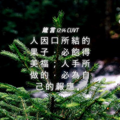 Picture 04 - 箴 言 12:14 CUVT - 人 因 口 所 結 的 果 子 ， 必 飽 得 - Bible Verse Picture