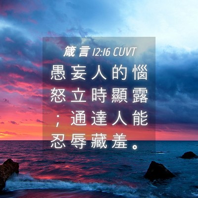 Picture 04 - 箴 言 12:16 CUVT - 愚 妄 人 的 惱 怒 立 時 顯 露 ； 通 - Bible Verse Picture