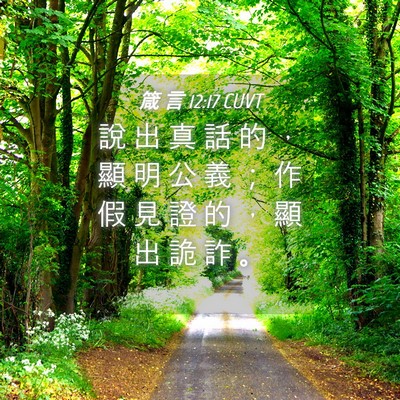 Picture 04 - 箴 言 12:17 CUVT - 說 出 真 話 的 ， 顯 明 公 義 ； 作 - Bible Verse Picture