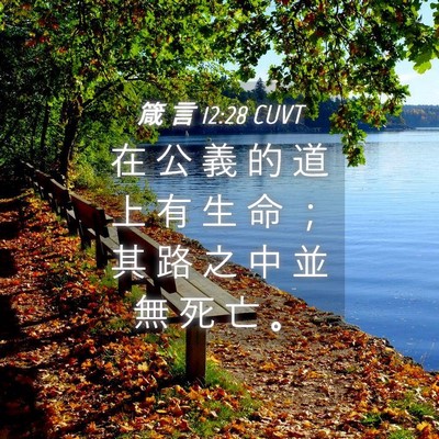 Picture 04 - 箴 言 12:28 CUVT - 在 公 義 的 道 上 有 生 命 ； 其 路 - Bible Verse Picture