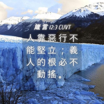 Picture 04 - 箴 言 12:3 CUVT - 人 靠 惡 行 不 能 堅 立 ； 義 人 的 - Bible Verse Picture
