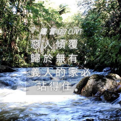 Picture 04 - 箴 言 12:7 CUVT - 惡 人 傾 覆 ， 歸 於 無 有 ； 義 人 - Bible Verse Picture