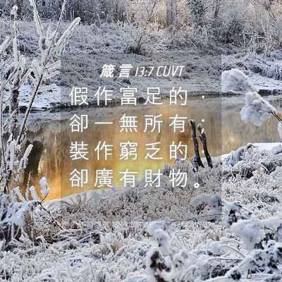 Picture 04 - 箴 言 13:7 CUVT - 假 作 富 足 的 ， 卻 一 無 所 有 ； - Bible Verse Picture