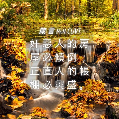 Picture 04 - 箴 言 14:11 CUVT - 奸 惡 人 的 房 屋 必 傾 倒 ； 正 直 - Bible Verse Picture