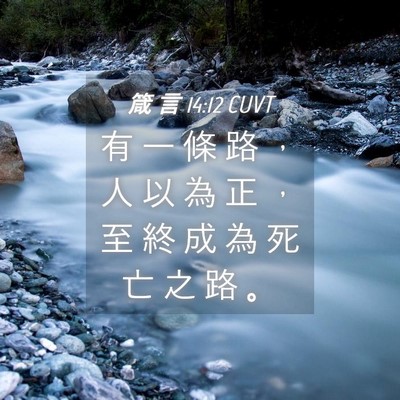 Picture 04 - 箴 言 14:12 CUVT - 有 一 條 路 ， 人 以 為 正 ， 至 終 - Bible Verse Picture