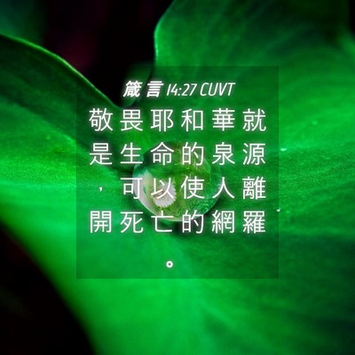 Picture 04 - 箴 言 14:27 CUVT - 敬 畏 耶 和 華 就 是 生 命 的 泉 源 - Bible Verse Picture