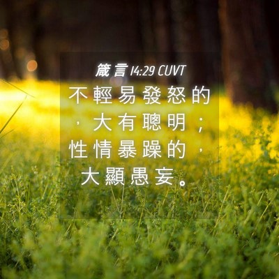 Picture 04 - 箴 言 14:29 CUVT - 不 輕 易 發 怒 的 ， 大 有 聰 明 ； - Bible Verse Picture