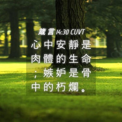 Picture 04 - 箴 言 14:30 CUVT - 心 中 安 靜 是 肉 體 的 生 命 ； 嫉 - Bible Verse Picture