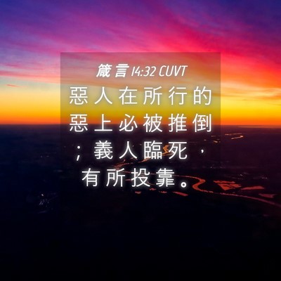 Picture 04 - 箴 言 14:32 CUVT - 惡 人 在 所 行 的 惡 上 必 被 推 倒 - Bible Verse Picture