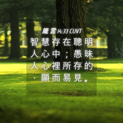 Picture 04 - 箴 言 14:33 CUVT - 智 慧 存 在 聰 明 人 心 中 ； 愚 昧 - Bible Verse Picture