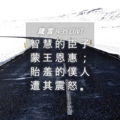 Picture 04 - 箴 言 14:35 CUVT - 智 慧 的 臣 子 蒙 王 恩 惠 ； 貽 羞 - Bible Verse Picture