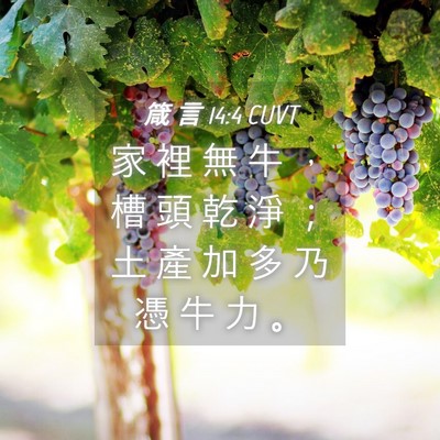 Picture 04 - 箴 言 14:4 CUVT - 家 裡 無 牛 ， 槽 頭 乾 淨 ； 土 產 - Bible Verse Picture