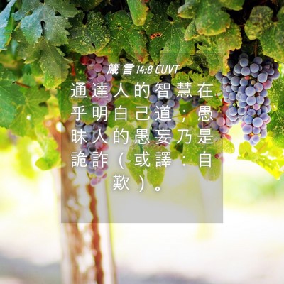 Picture 04 - 箴 言 14:8 CUVT - 通 達 人 的 智 慧 在 乎 明 白 己 道 - Bible Verse Picture