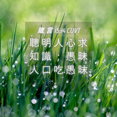Picture 04 - 箴 言 15:14 CUVT - 聰 明 人 心 求 知 識 ； 愚 昧 人 口 - Bible Verse Picture