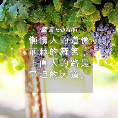 Picture 04 - 箴 言 15:19 CUVT - 懶 惰 人 的 道 像 荊 棘 的 籬 笆 ； - Bible Verse Picture