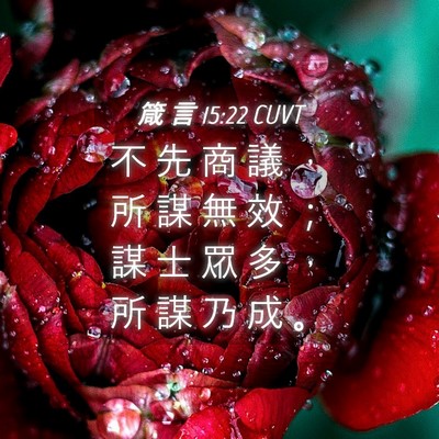 Picture 04 - 箴 言 15:22 CUVT - 不 先 商 議 ， 所 謀 無 效 ； 謀 士 - Bible Verse Picture
