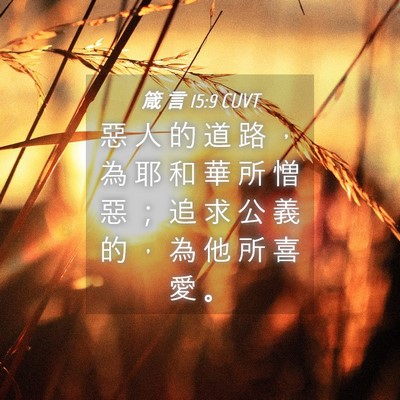 Picture 04 - 箴 言 15:9 CUVT - 惡 人 的 道 路 ， 為 耶 和 華 所 憎 - Bible Verse Picture