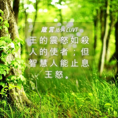 Picture 04 - 箴 言 16:14 CUVT - 王 的 震 怒 如 殺 人 的 使 者 ； 但 - Bible Verse Picture