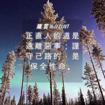 Picture 04 - 箴 言 16:17 CUVT - 正 直 人 的 道 是 遠 離 惡 事 ； 謹 - Bible Verse Picture