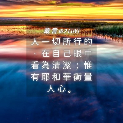 Picture 04 - 箴 言 16:2 CUVT - 人 一 切 所 行 的 ， 在 自 己 眼 中 - Bible Verse Picture