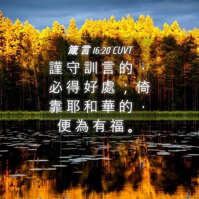 Picture 04 - 箴 言 16:20 CUVT - 謹 守 訓 言 的 ， 必 得 好 處 ； 倚 - Bible Verse Picture