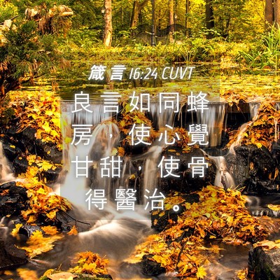 Picture 04 - 箴 言 16:24 CUVT - 良 言 如 同 蜂 房 ， 使 心 覺 甘 甜 - Bible Verse Picture