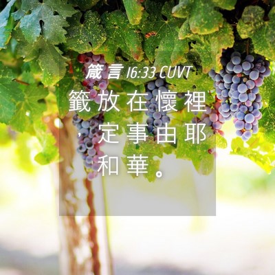 Picture 04 - 箴 言 16:33 CUVT - 籤 放 在 懷 裡 ， 定 事 由 耶 和 華 - Bible Verse Picture