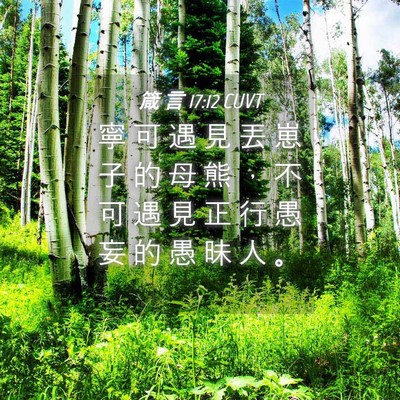 Picture 04 - 箴 言 17:12 CUVT - 寧 可 遇 見 丟 崽 子 的 母 熊 ， 不 - Bible Verse Picture