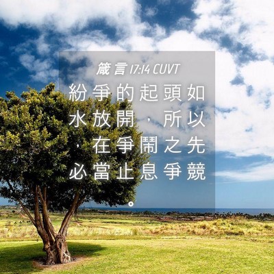 Picture 04 - 箴 言 17:14 CUVT - 紛 爭 的 起 頭 如 水 放 開 ， 所 以 - Bible Verse Picture