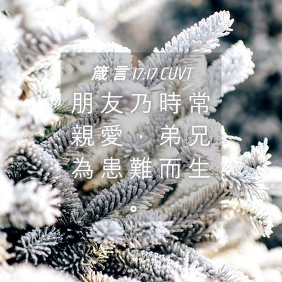 Picture 04 - 箴 言 17:17 CUVT - 朋 友 乃 時 常 親 愛 ， 弟 兄 為 患 - Bible Verse Picture