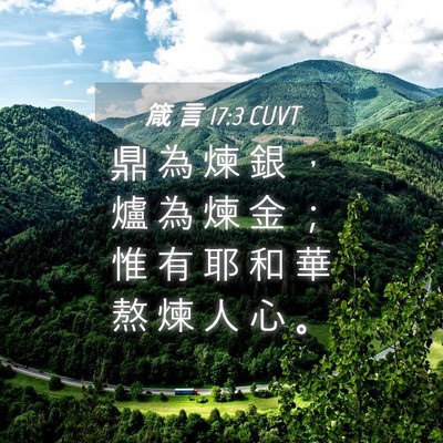 Picture 04 - 箴 言 17:3 CUVT - 鼎 為 煉 銀 ， 爐 為 煉 金 ； 惟 有 - Bible Verse Picture