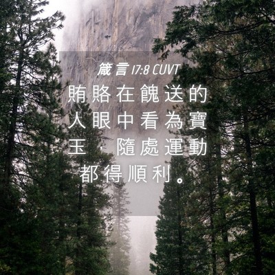 Picture 04 - 箴 言 17:8 CUVT - 賄 賂 在 餽 送 的 人 眼 中 看 為 寶 - Bible Verse Picture